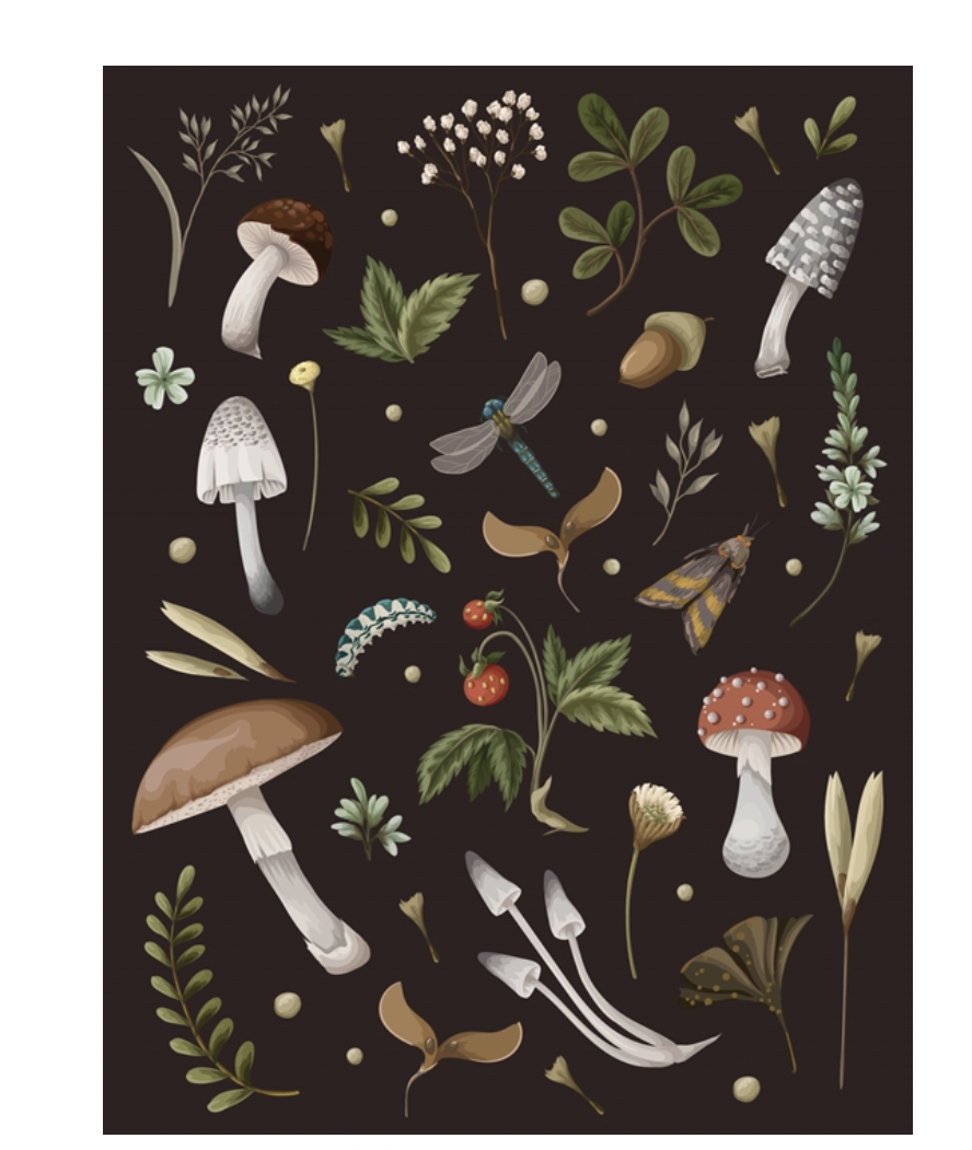 Mushroom Lined Journal Notebook