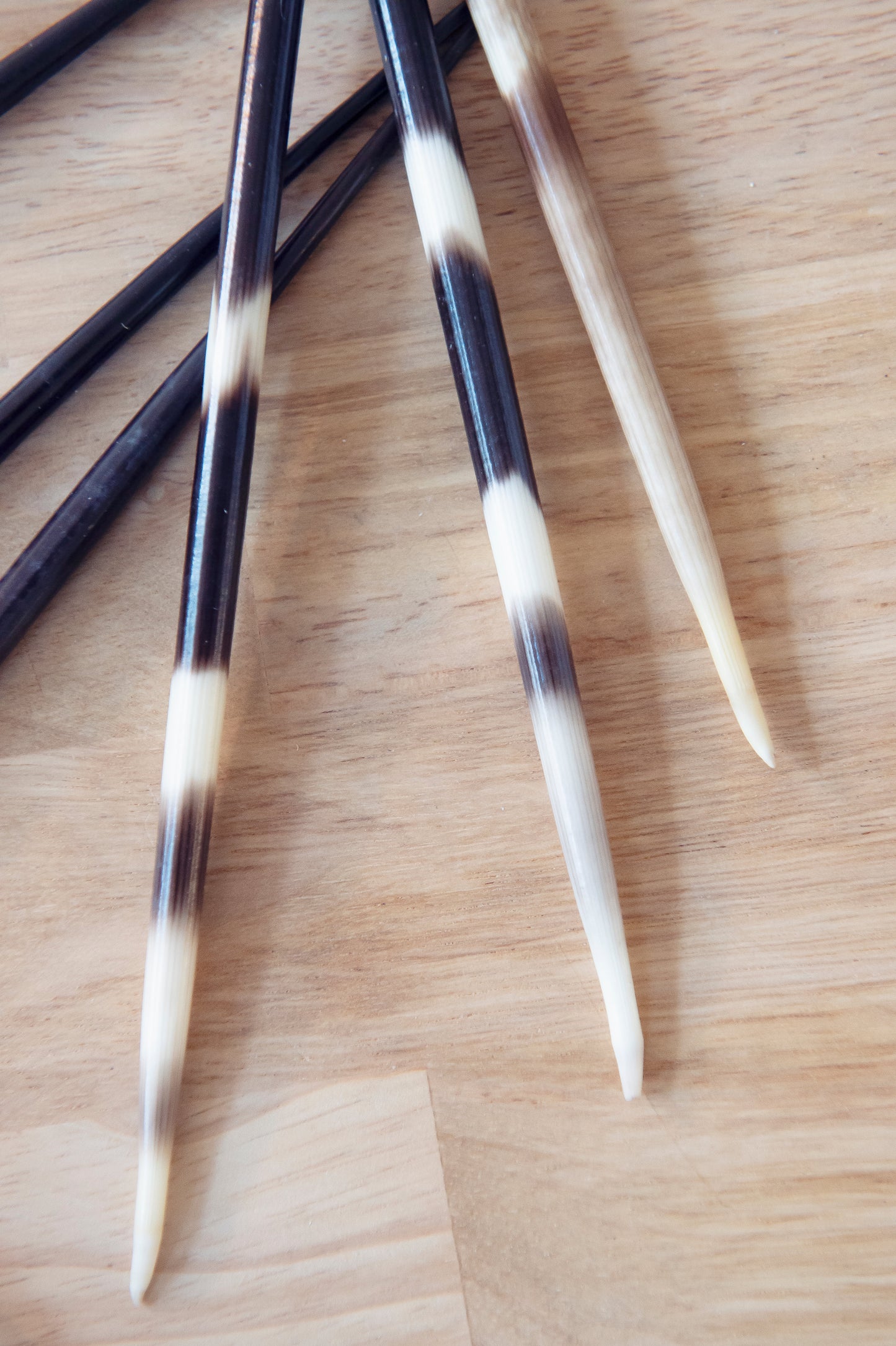 Porcupine Quill