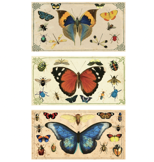 Various Butterfly Match Box