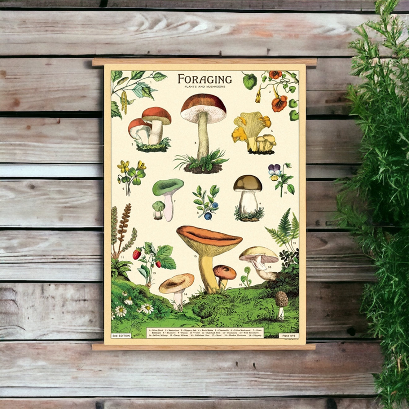 Cavallini Vintage-Inspired Poster Kit