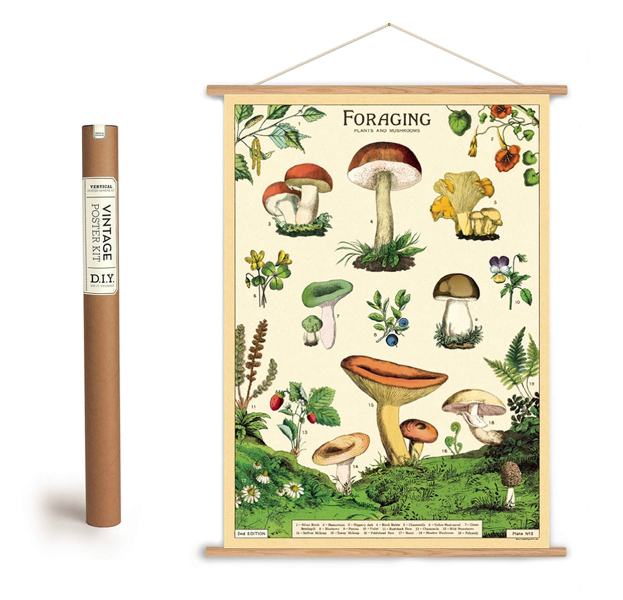 Cavallini Vintage-Inspired Poster Kit
