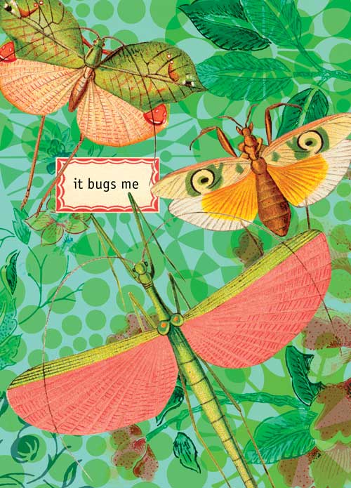 It Bugs Me Greeting Post Card