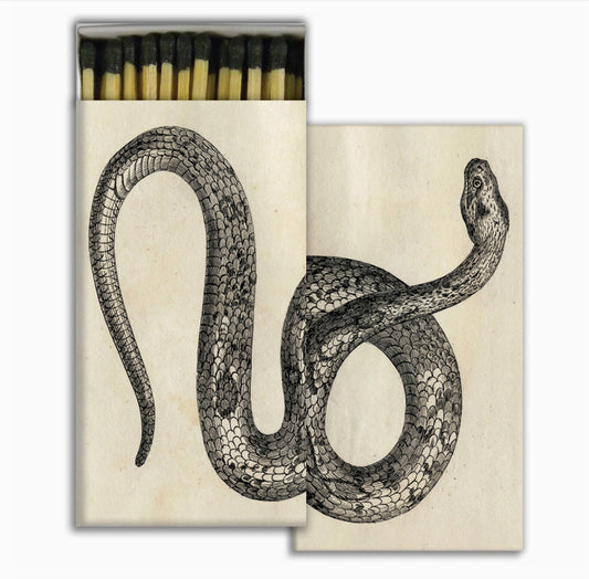 Snake Match Box