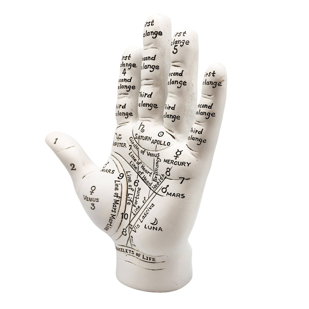 Big Palmistry Hand
