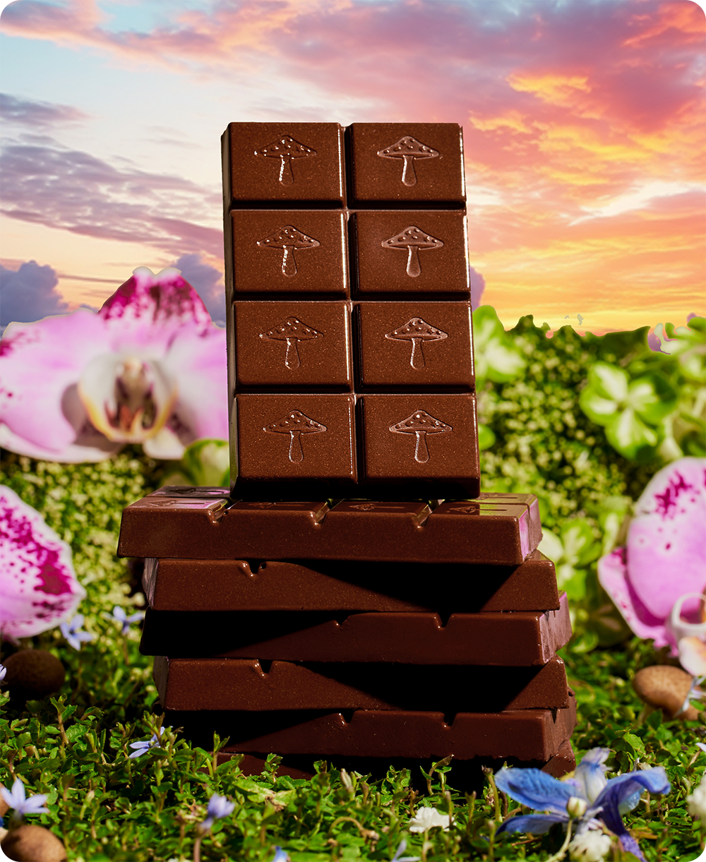 Happy Ending - Mushroom Chocolate Bar Supplement for Wellness