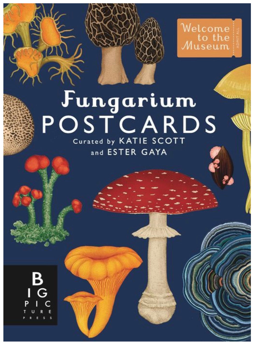 Fungarium Postcard Box Set