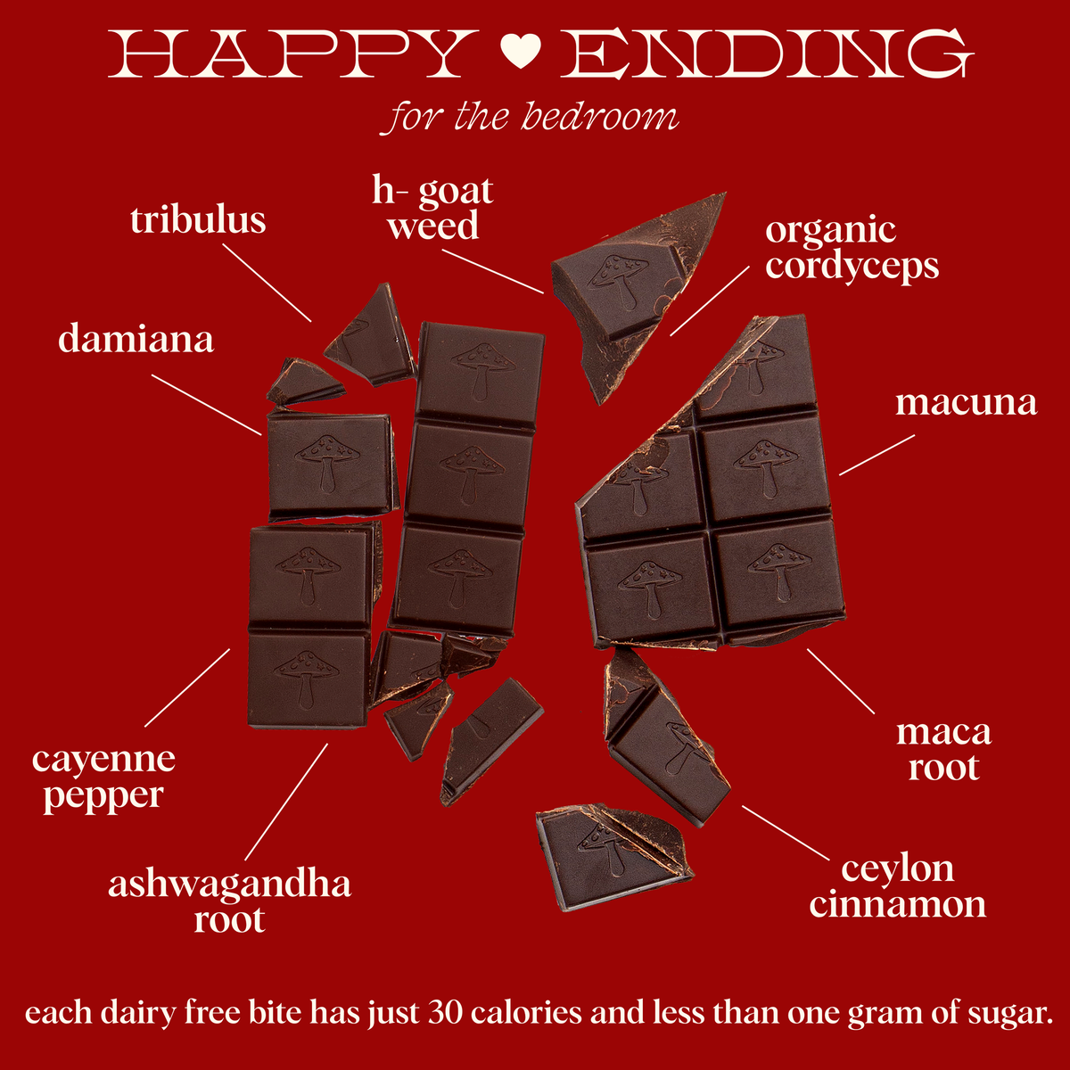 Happy Ending - Mushroom Chocolate Bar Supplement for Wellness