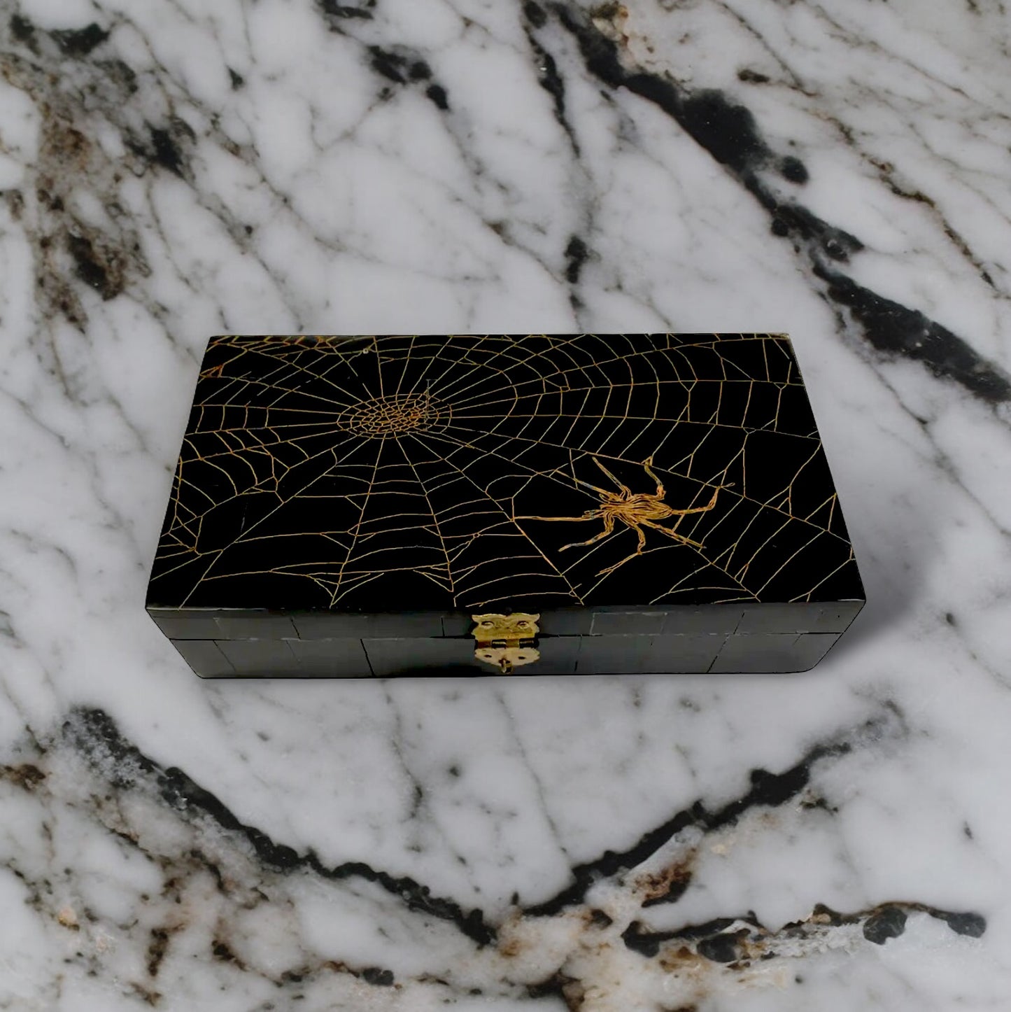 Spider in Web Engraved Horn Box