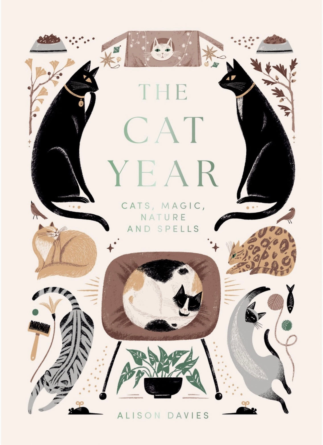 The Cat Year