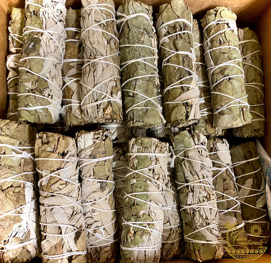 Eucalyptus and White Sage Bundles