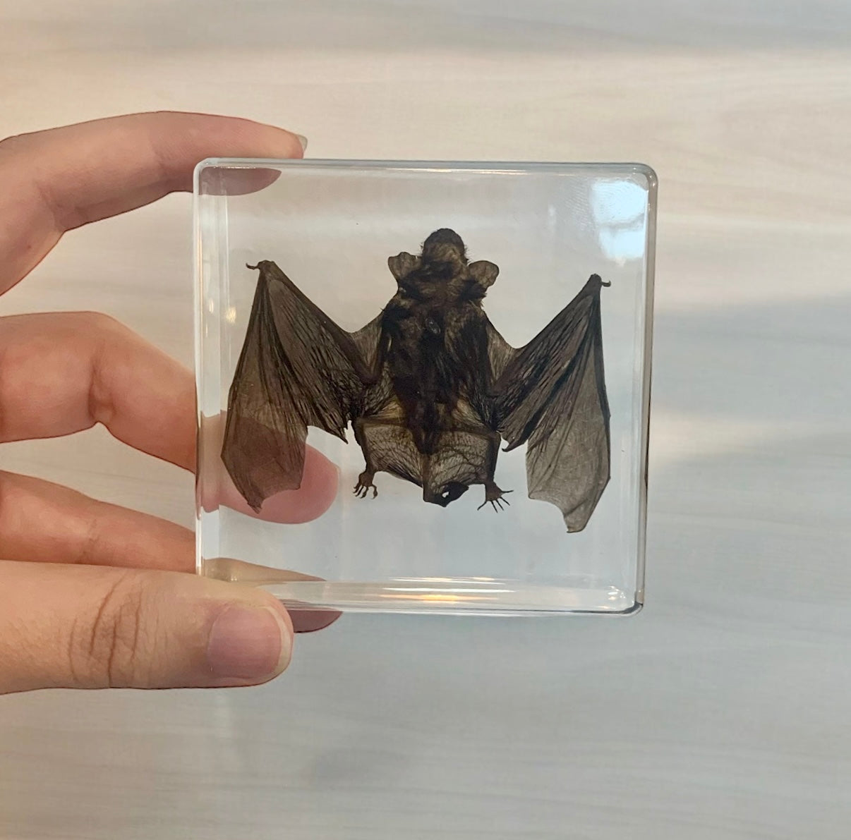 Bat Resin Paperweight