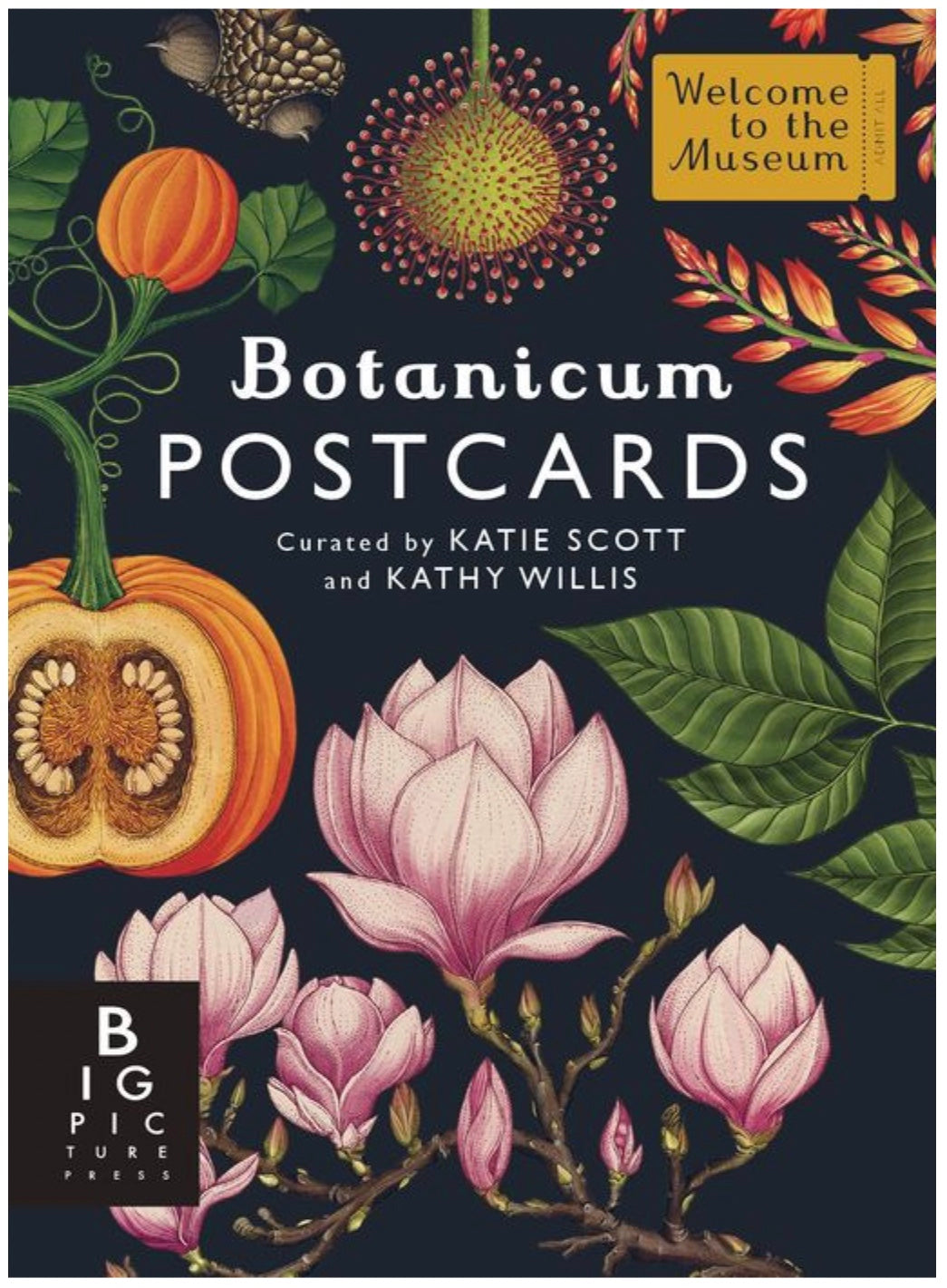 Botanicum Postcard Box Set