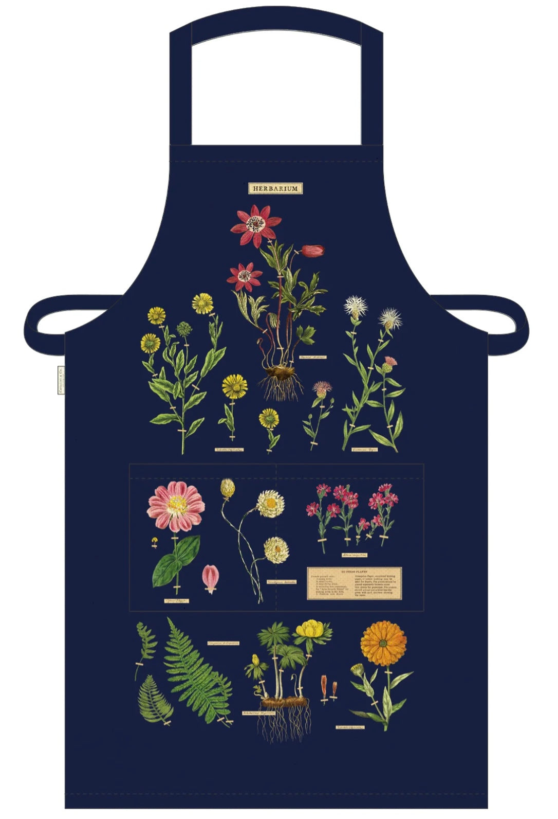 Cavallini- Herbarium Apron