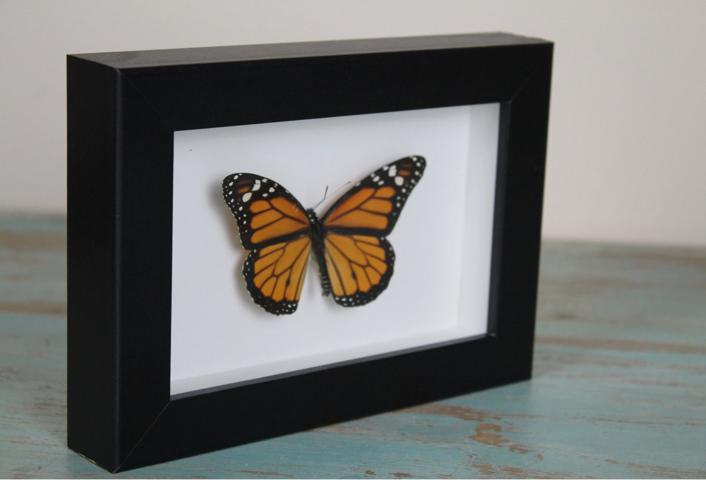 Monarch Butterfly Frame