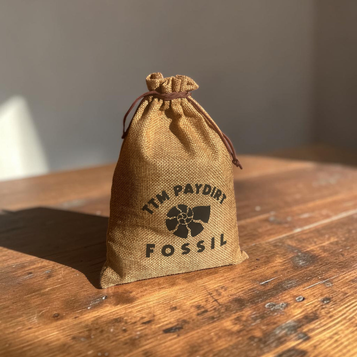 TTM Paydirt - Fossil Mining Mystery Bag