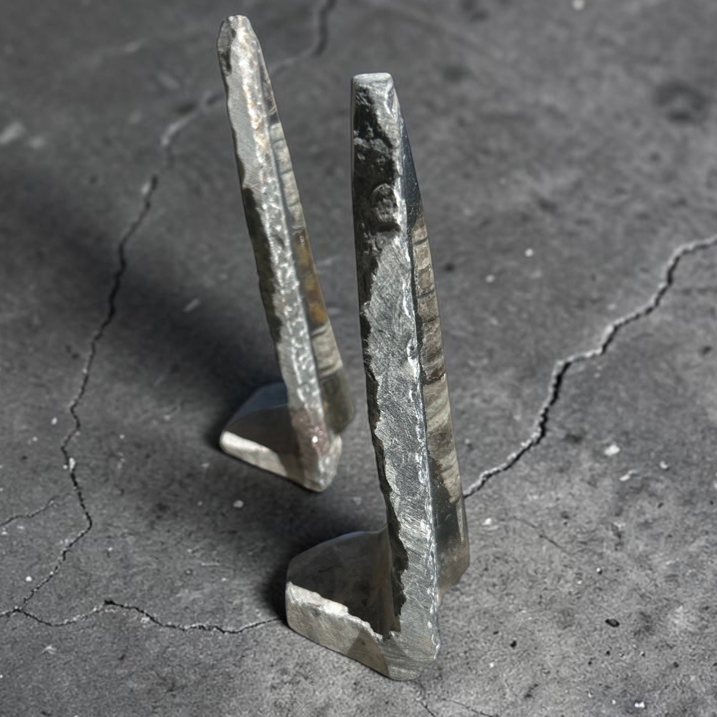 Orthoceras Fossilized Squid on Stand Rock