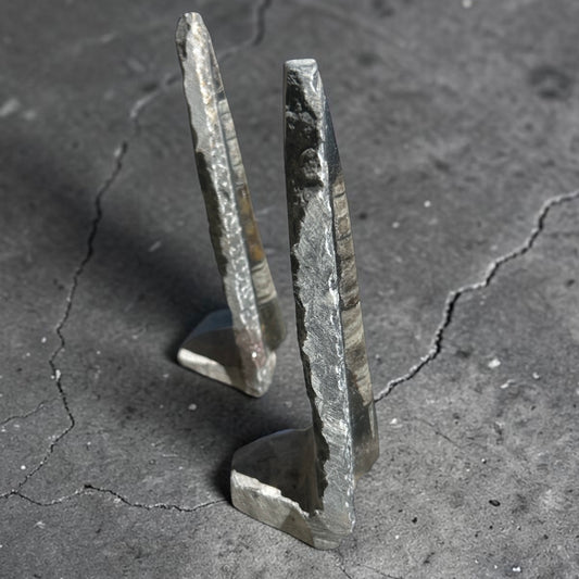 Orthoceras Fossilized Squid on Stand Rock