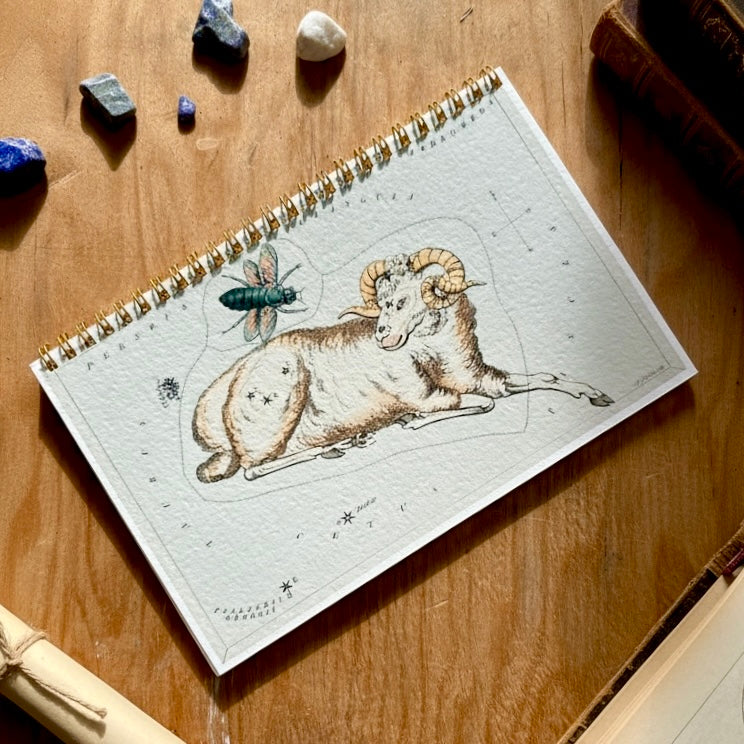 Zodiac Journal Sketchbook