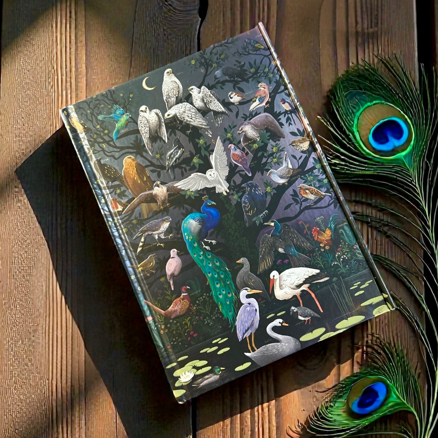 Birds Parliament of Fowls (Foiled Journal) Notebook