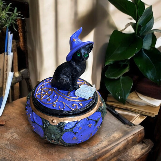 Magical Cat Box
