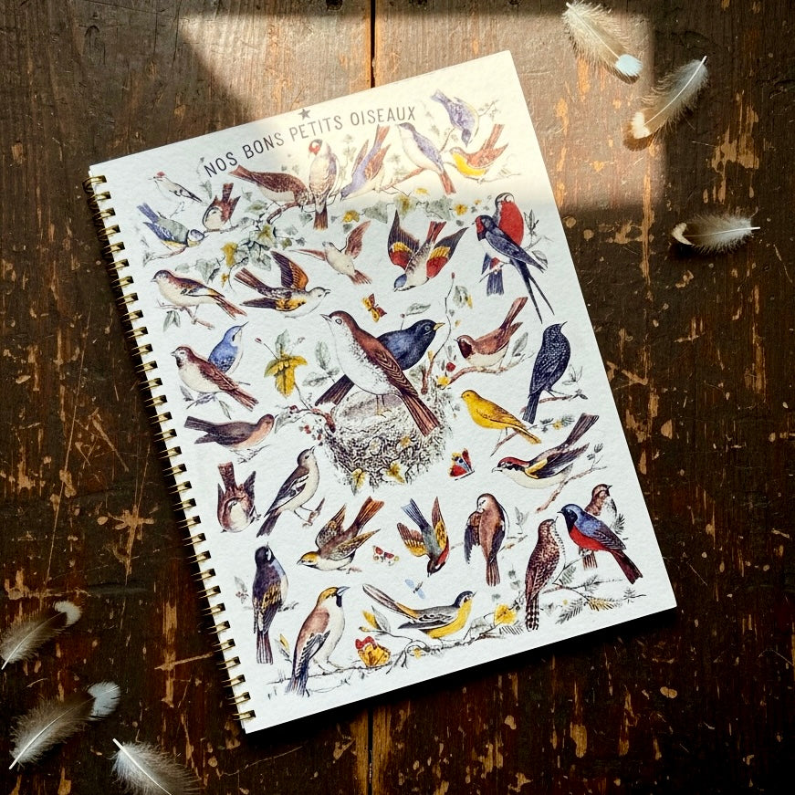 Petits Oiseuax Birds Journal Sketchbook