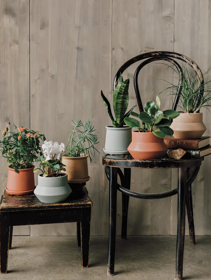 Heirloom Seafoam Planter Pot