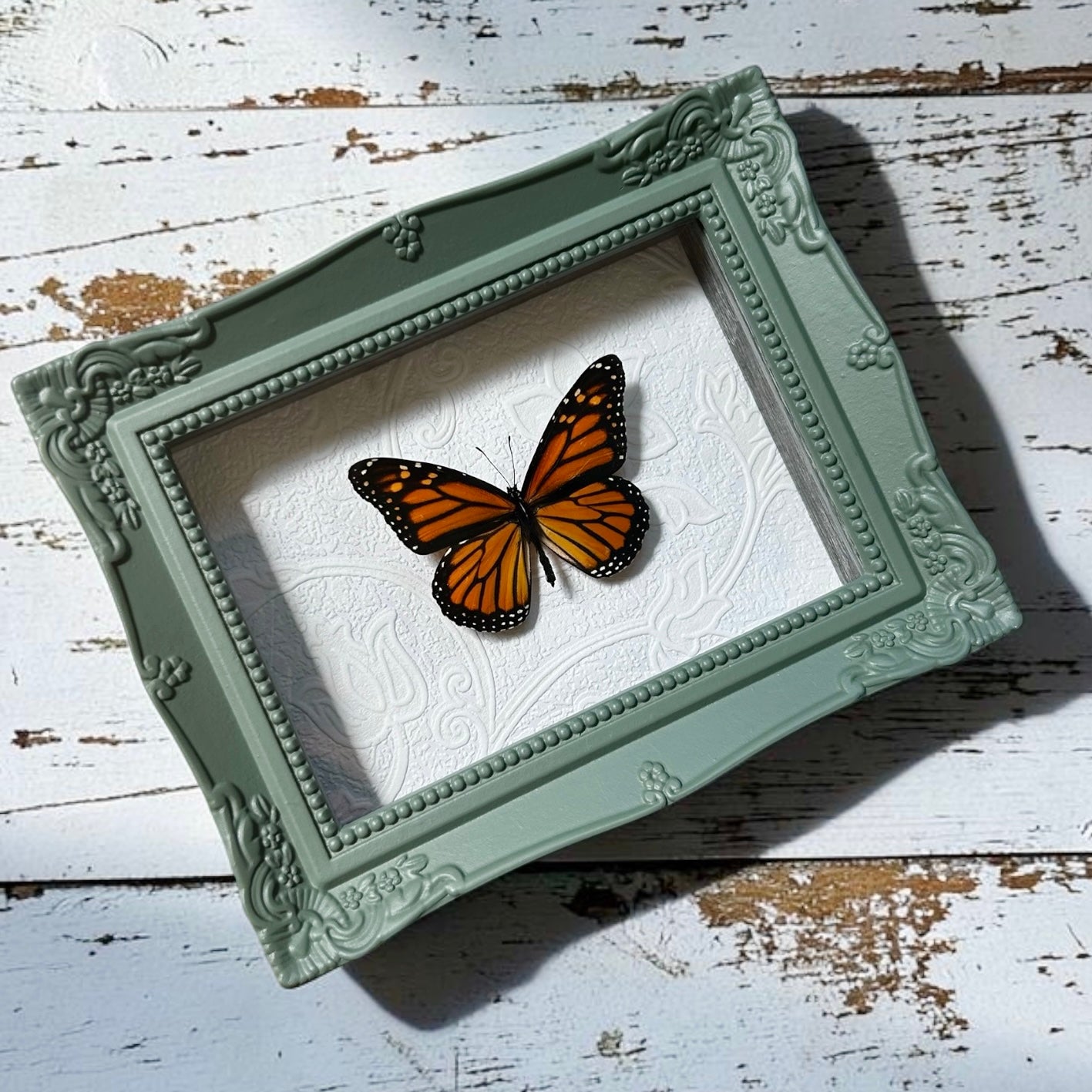 Monarch Butterfly Frame