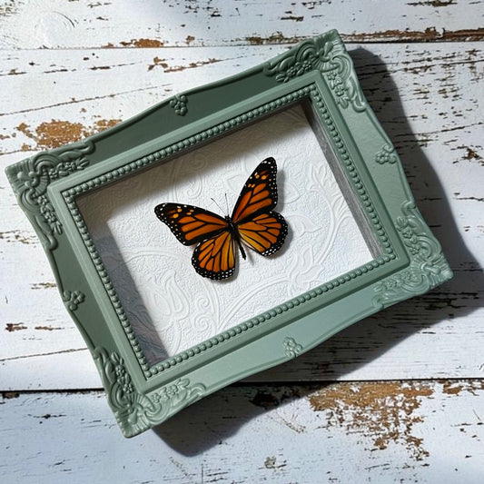 Monarch Butterfly Frame