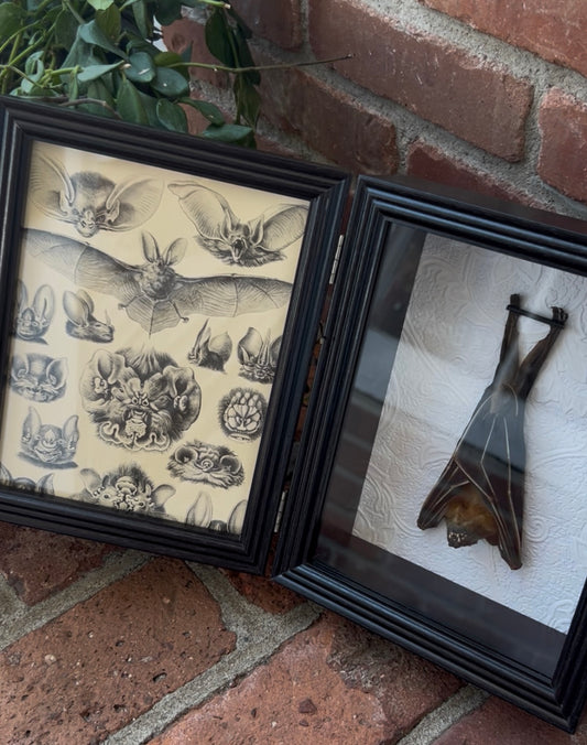 Fruit Bat Frame