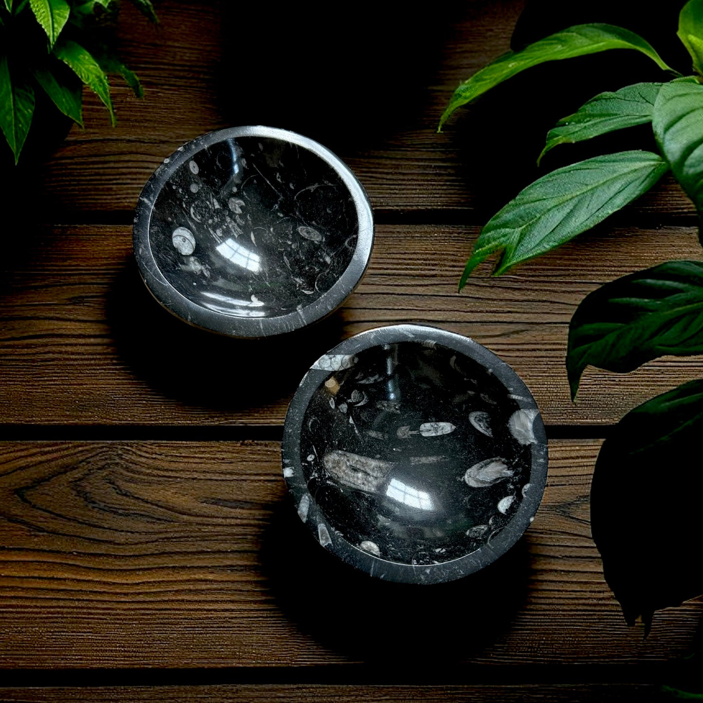 Fossilized Stone Dish Bowl