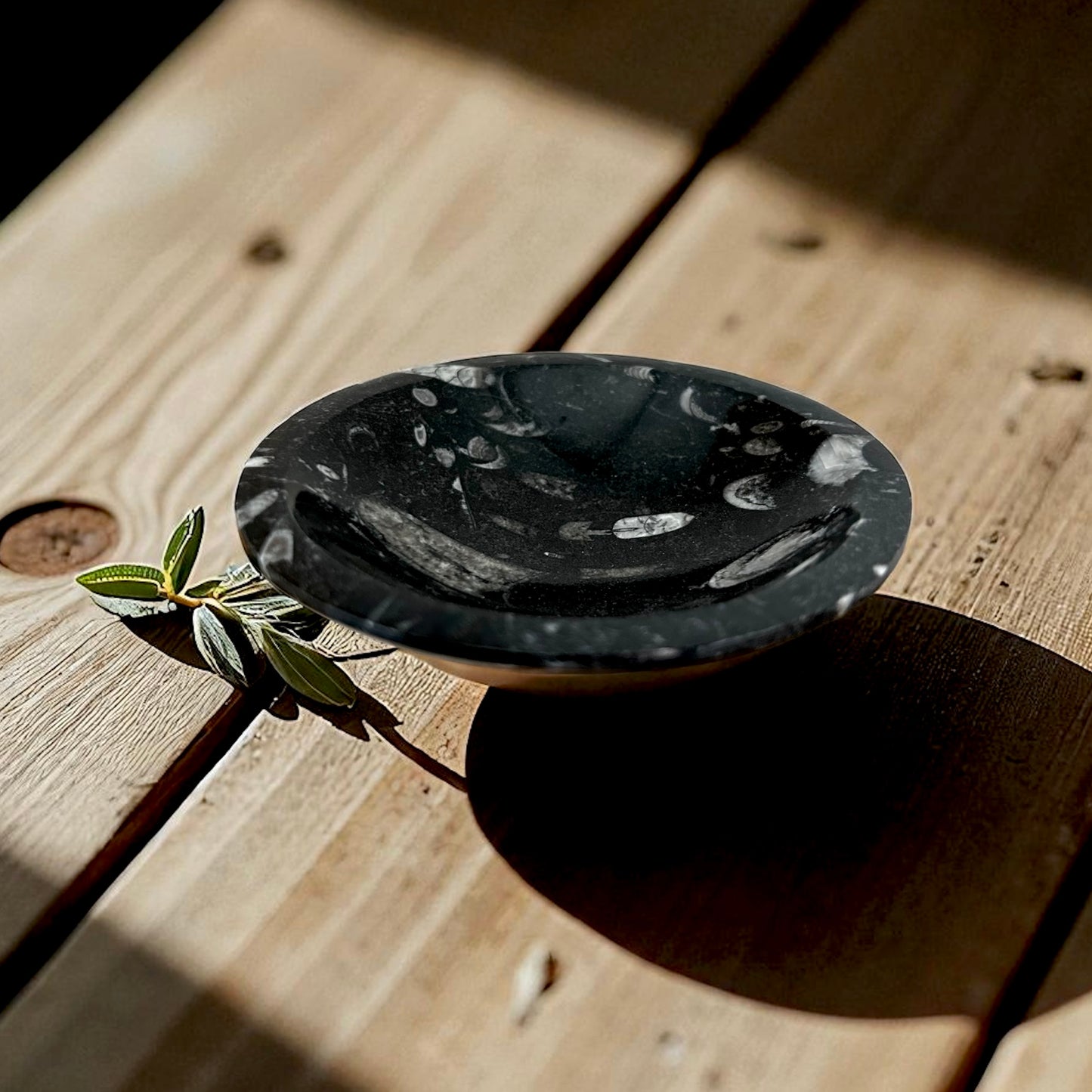 Fossilized Stone Dish Bowl