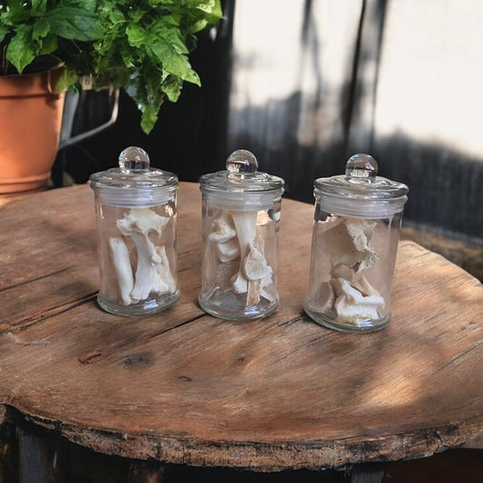 Raccoon and Deer Bone Jar