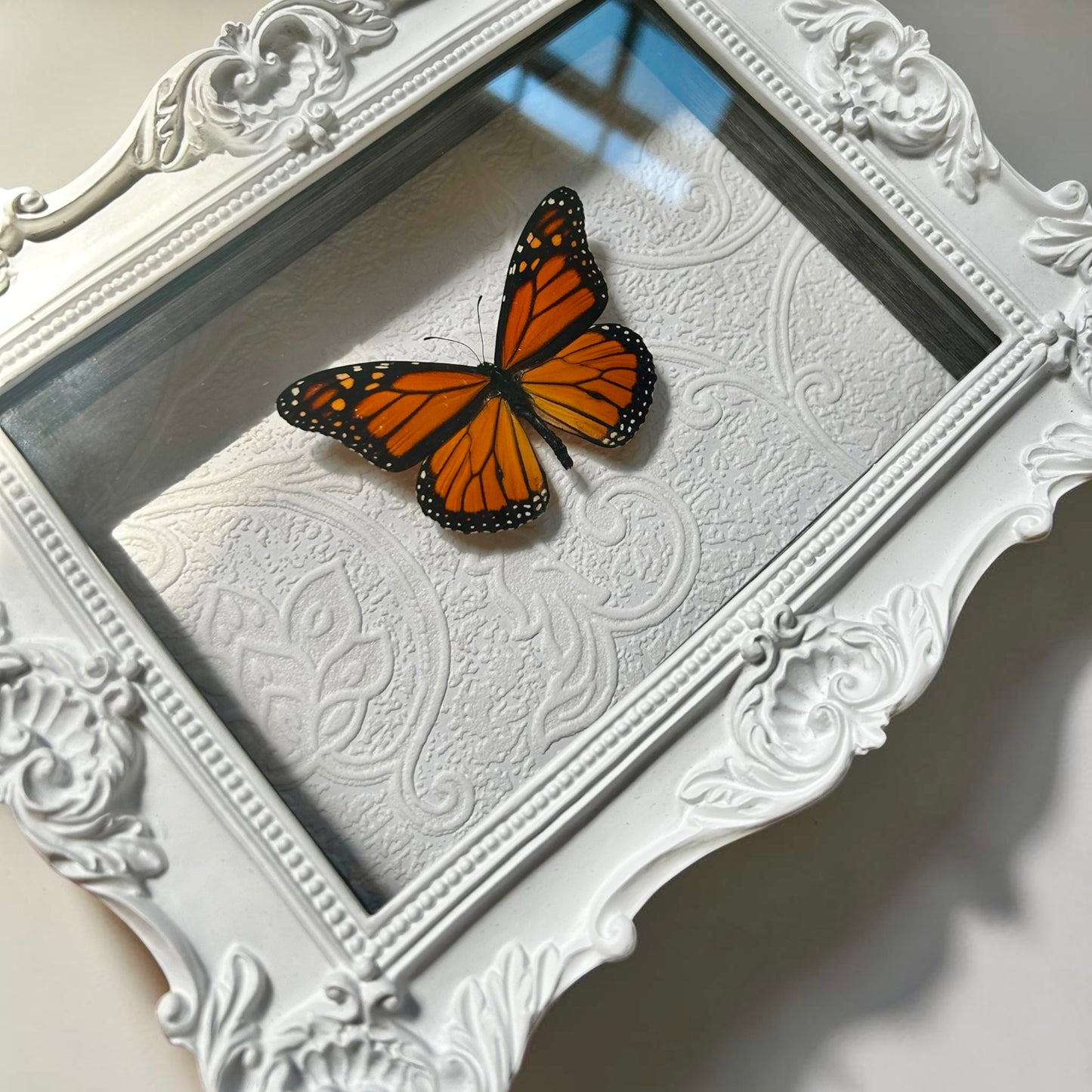 Monarch Butterfly Frame