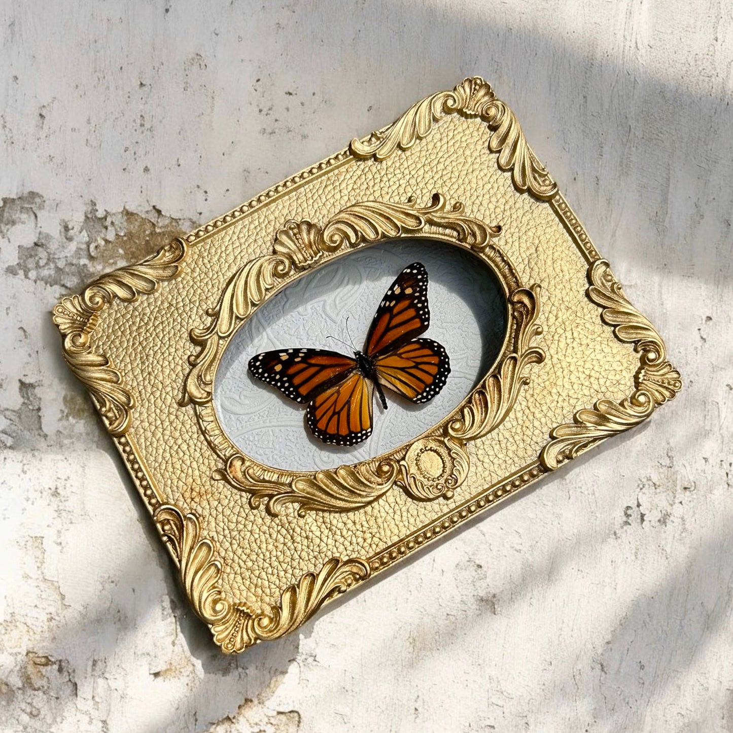 Monarch Butterfly Frame