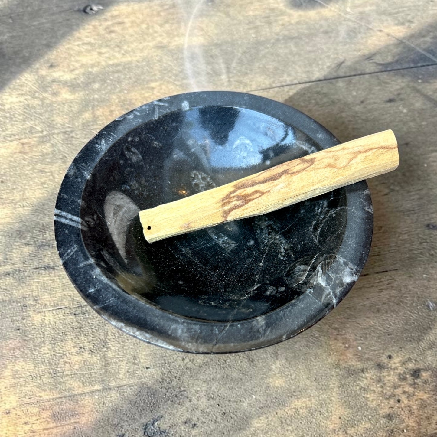Geisenoceras Fossil Stone Dish Tray