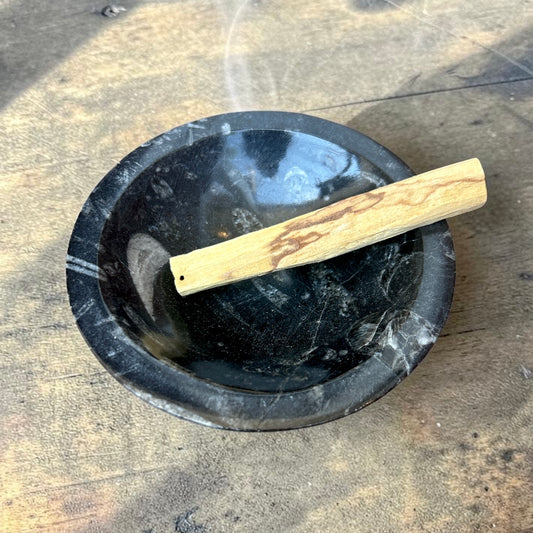 Geisenoceras Fossil Stone Dish Tray