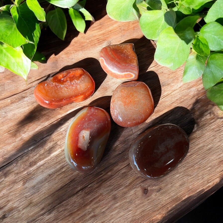 Carnelian Crystal Palm Stone