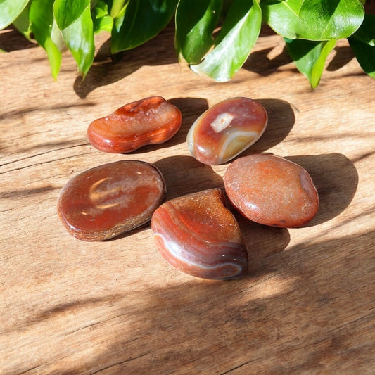 Carnelian Crystal Palm Stone