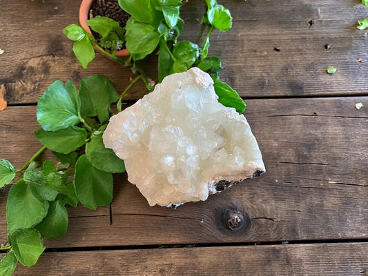 512 Apophyllite Crystal Cluster