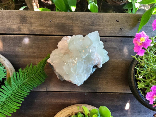 511 Apophyllite Crystal Cluster