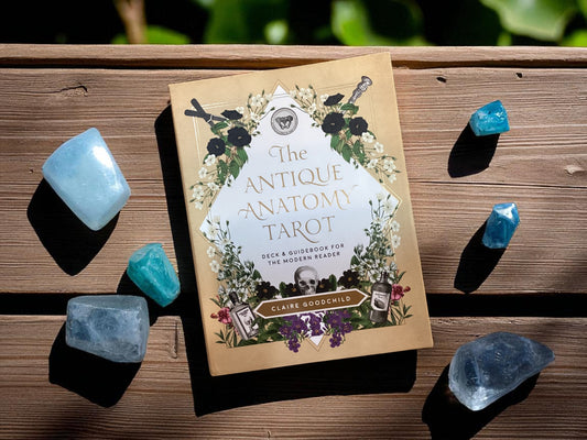 Antique Anatomy Tarot Kit