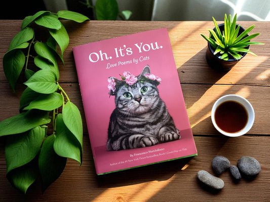 Oh. It's You.