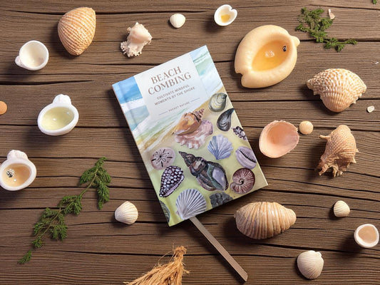 Pocket Nature: Beachcombing