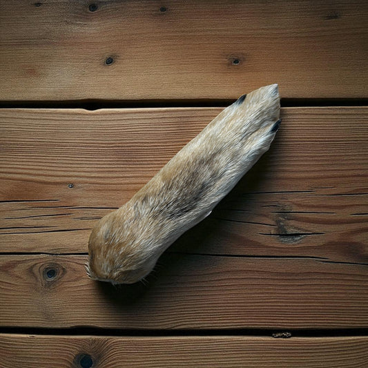 Coyote Foot