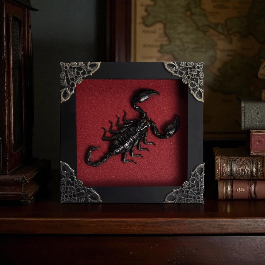 Scorpion Frame