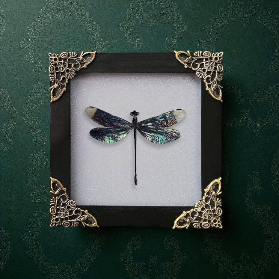 Dragonfly Frame