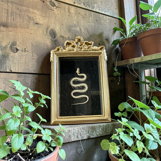 Snake Skeleton Frame