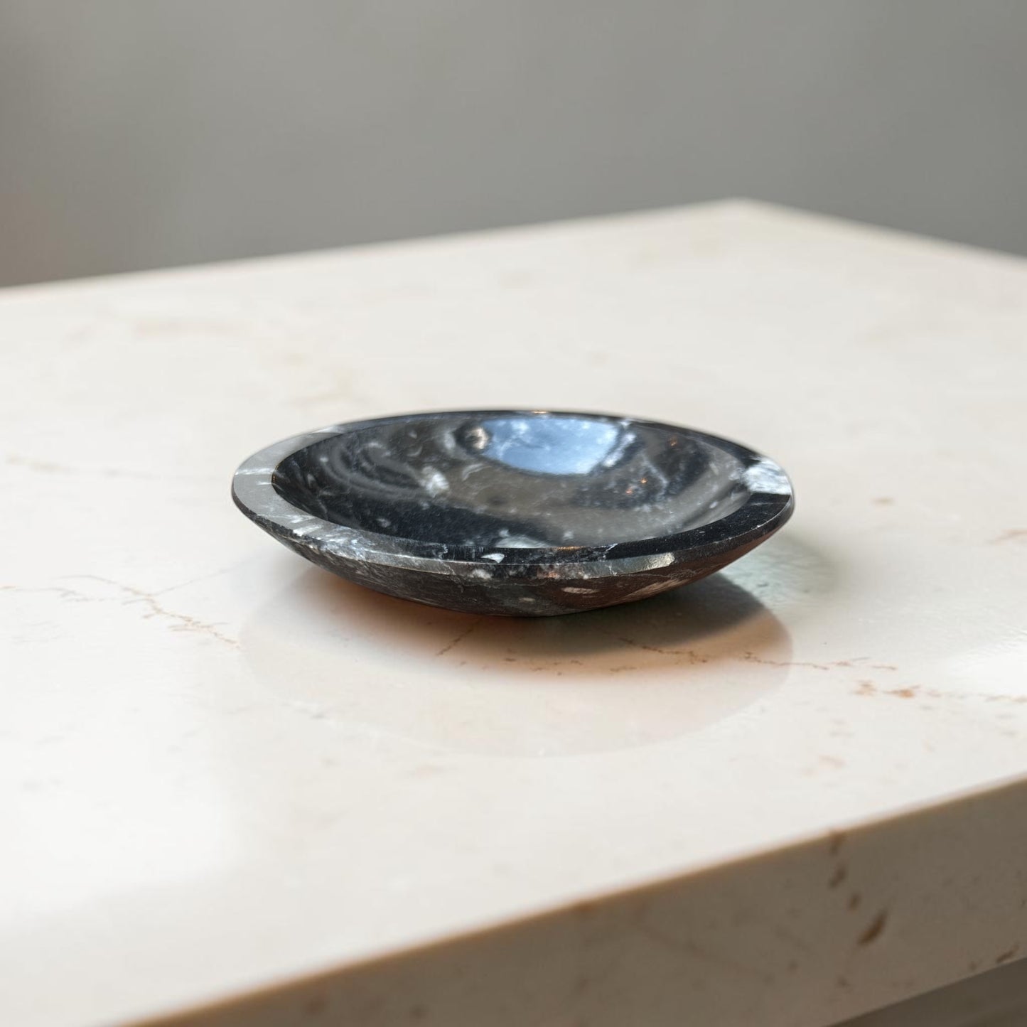 Geisenoceras Fossil Stone Dish Tray