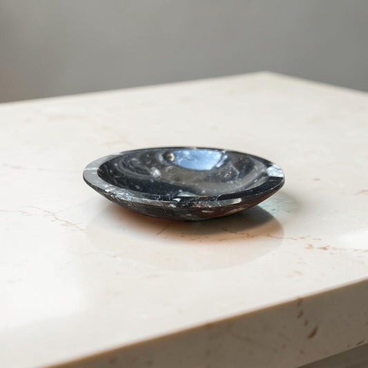 Geisenoceras Fossil Stone Dish Tray