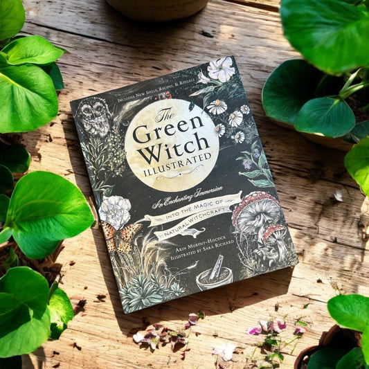 Green Witch Illustrated
